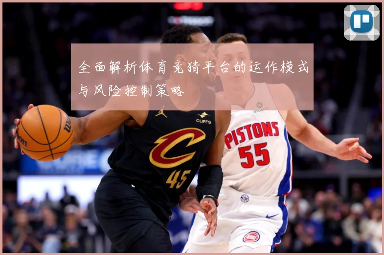 全面解析体育竞猜平台的运作模式与风险控制策略